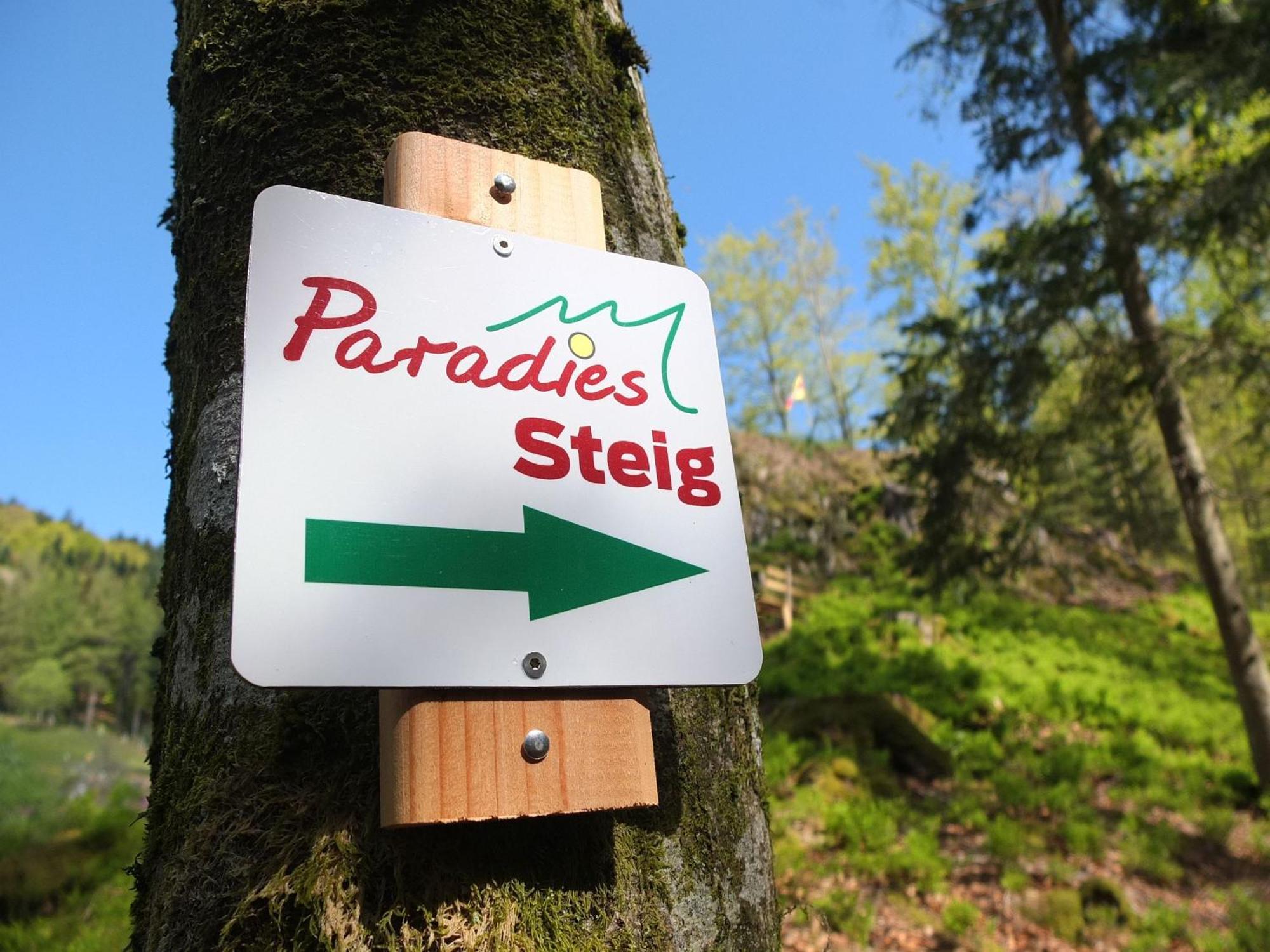 Paradies Im Schwarzwald Bad Peterstal-Griesbach Exterior photo