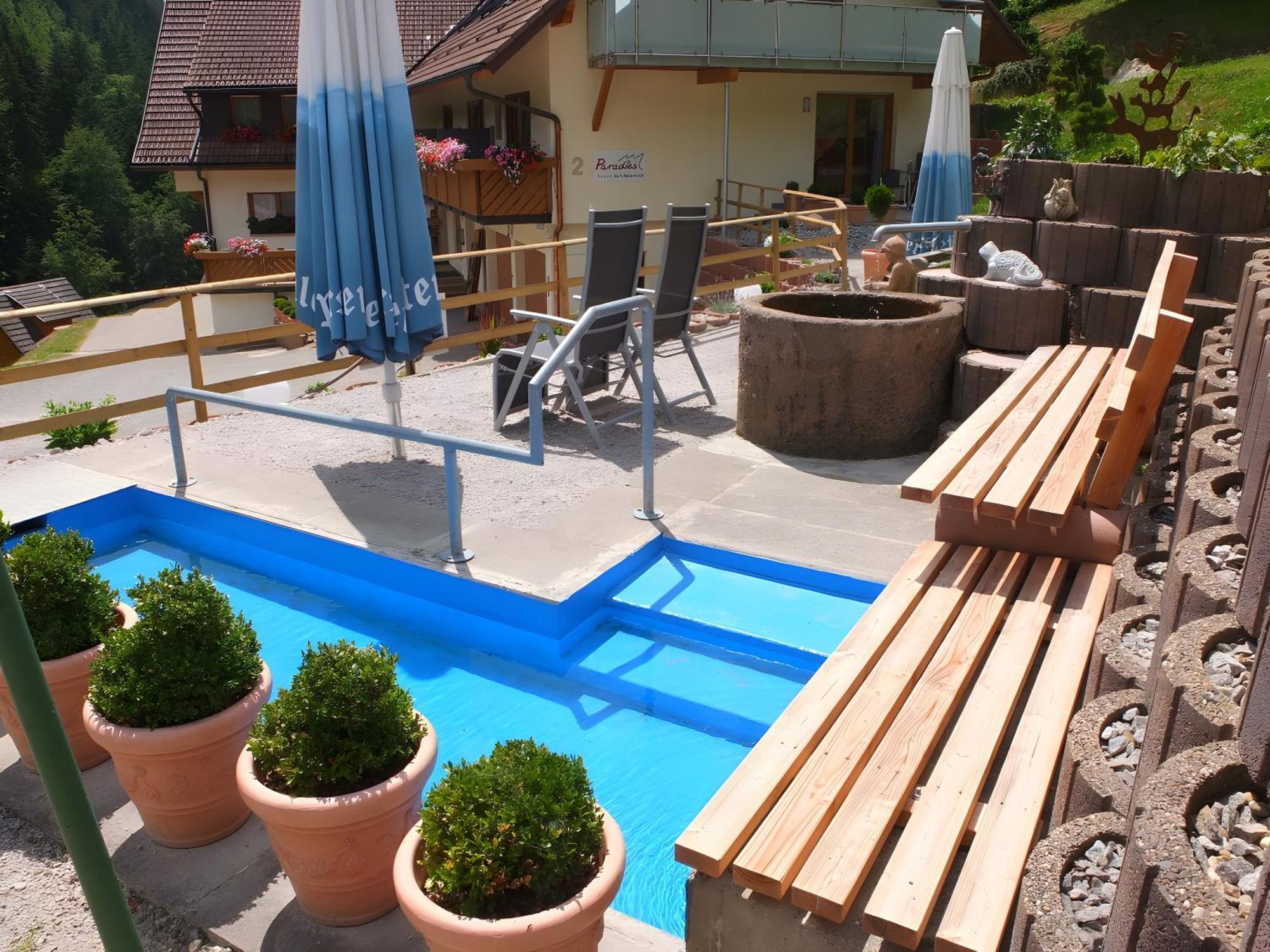 Paradies Im Schwarzwald Bad Peterstal-Griesbach Exterior photo